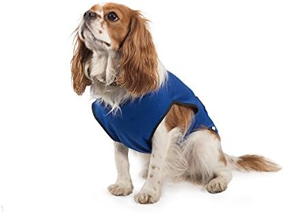 Ancol Pet Products Dog Cooling Vest (Assorted Colors) (X-Large) (Assorted)