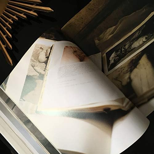 The museum as muse: Artists reflect: Kynaston McShine