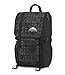 JanSport Disney Hatchet Backpack (One Size, Disney Stealth Mickey)