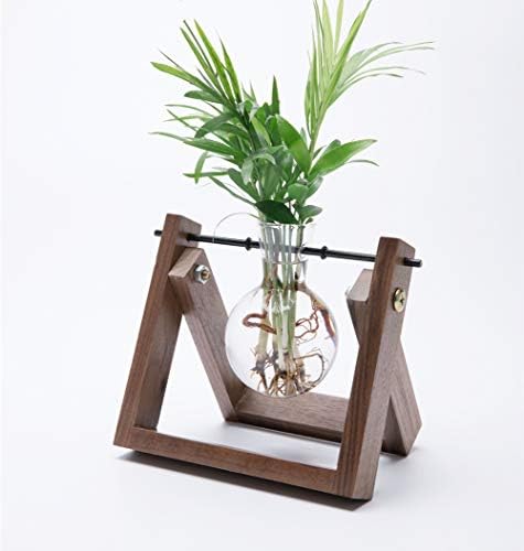 Cyan Shirt Glass Planter Bulb Vase with Walnut Wooden Stand Metal Swivel Holder for Hydroponics Plants - Home Decor Office Decor - 1 Terrarium