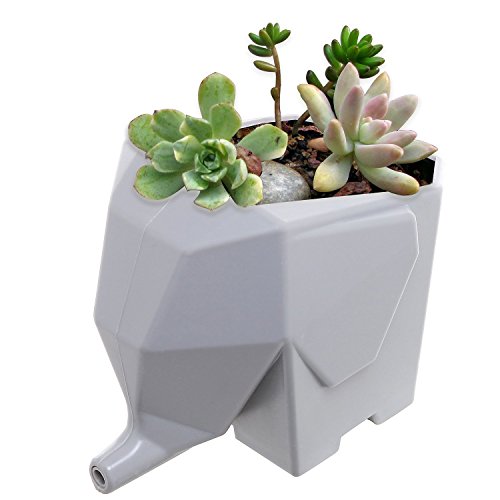 Agile-Shop Cute Elephant Design Plastic Cutlery Drainer Storage Holder Box for Home Kitchen, Bathroom, Toothbrush, Small Knife Accessories (Gray)