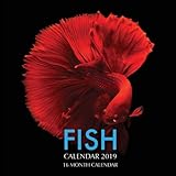 Fish Calendar 2019: 16 Month Calendar by