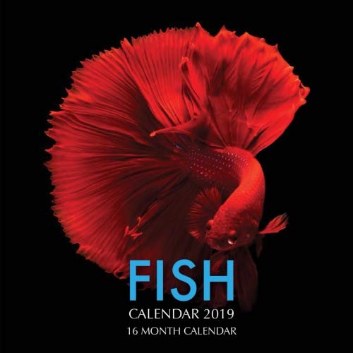 Fish Calendar 2019: 16 Month Calendar by 