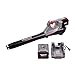 POWERWORKS 60V Brushless Jet Leaf Blower, 2.5Ah Battery Included BL60L2510PW primary