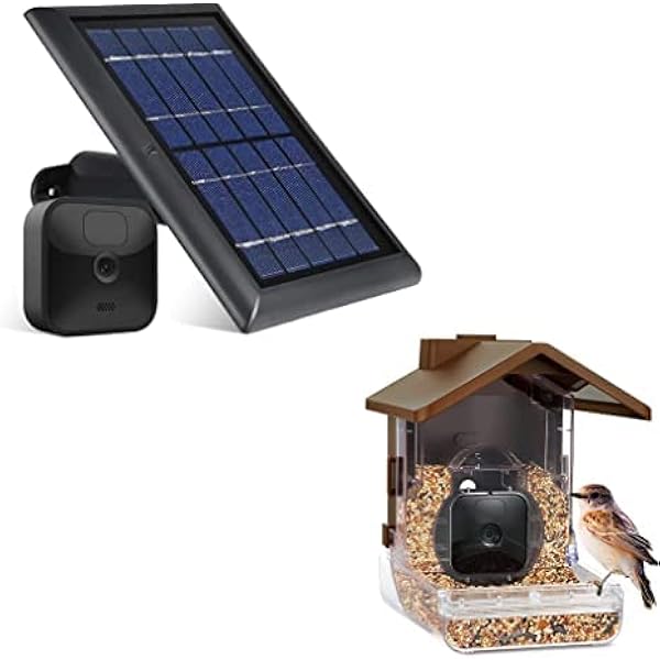 Can Birds Nest under Solar Panels? birdsmentor