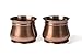 H Potter Succulent Planter Plant Pot with Tray Set of 2 Outdoor and Indoor Use Round Flower Herb Box for Home Patio Garden Deck Balcony Antique Copper Gar607a