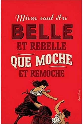 Télécharger gratuitement Images La Plaque Publicitaire Belle Et Rebelle Moche Et Remoche le plus cool par