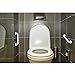 ROSENICE Grab Bar - 12-inch Shower Handle Bathroom Balance Bar - Safety Luminous Circles- Handicap, Elderly, Injury, Non-slip, Senior Assist Bath Handle