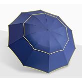 Soletharien Windproof Folding Umbrella | Double-Layer Fabric, Ventilated Design,10 ribs