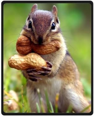 Chipmunk Soft Fleece Throw Blanket 40" x 50" (Small) Really Cheap