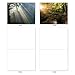 The Best Card Company - Box of 10 All Occasion Cards Blank (4 x 5.12 Inch) - Scenic Landscape Cards Assorted - Shining Through M1735BN