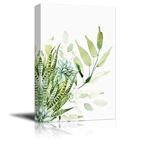 Succulent Plants Series Watercolor Style Plants on White Background