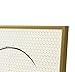 Golden State Art, Aluminum Album Frame Display 12.5x12.5 Vinyl Record, Brushed Metal Finish Records Frames, Acrylic Glass Front, for 12'' Album cover (1 Pack Gold)