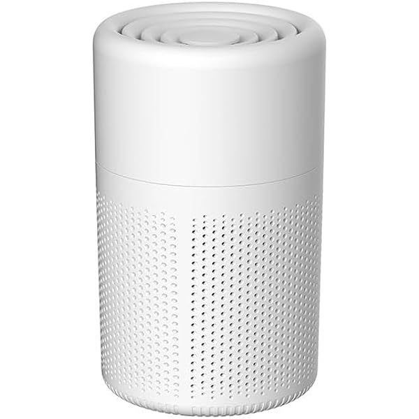 Amazon.com: Smart HEPA Air Purifier - Portable Mobile Air