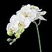 1 Piece Simulation Butterfly Orchid Artificial Flower Plant Home Decoration White