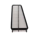 Champion CAP9683 Panel Air Filter