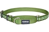 Red Dingo Reflective Martingale Dog Collar, Small, Green