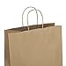 Halulu Brown Kraft Paper Bags, Shopping, Mechandise, Party, Gift Bags - Recycled Paper Bags 13