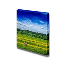 Green Grass Field Meadow Scenery Lanscape Under Blue...