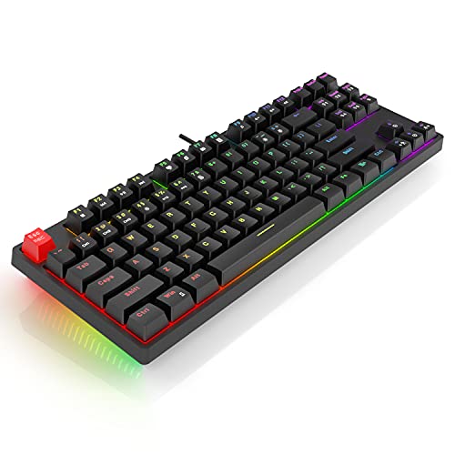 havit Mechanical Keyboard, TKL Mechanical Gaming Keyboard Wired LED