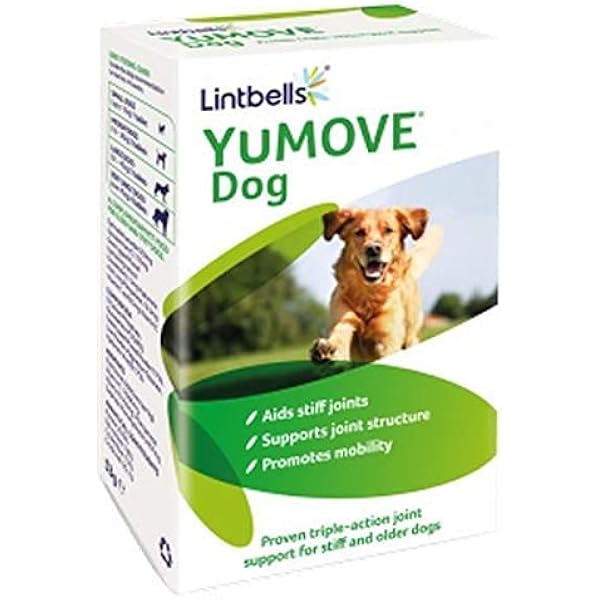 springerdoodle breeders near me