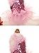 MaruPet Fashion Sweet Puppy Dog Blingbling Princess Skirt Pet Dog Lace Cake Camisole Tutu Dress Pink X-Small