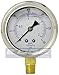 NEW STAINLESS STEEL LIQUID FILLED PRESSURE GAUGE WOG WATER OIL GAS 0 to 30 PSI LOWER MOUNT 0-30 PSI 1/4