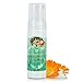 Earth Mama Ginger Fresh Foaming Hand Soap and All Purpose Body Wash for Sensitive Skin, Liquid Castile Soap with Organic Coconut Oil, Shea Butter, Calendula, & Aloe, 5.3 fl oz