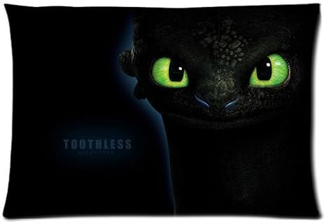 How To Train Your Dragon Toothless Custom Home Soft Zippered