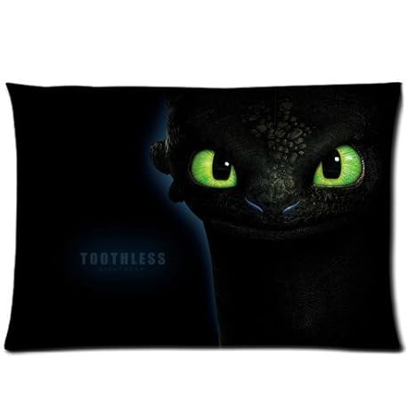 How To Train Your Dragon Toothless Custom Home Soft Zippered