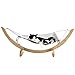 Pet Magasin Luxury Cat Hanging Bed – Heavy Duty Hammock Style Pet Perch with Simple Installation for Cats, Small Dogs & Other Animals