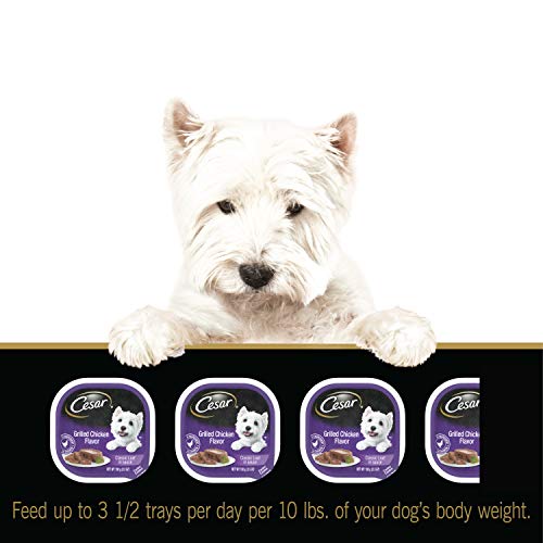 Cesar Classics Dog Food Variety Pack - Image 13