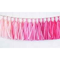 Zorpia 15pcs Tissue Paper Tassels Garland, Mixed 3 Colors(Pink+ light pink+ rose)