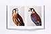 Bird Love: A Photography Book