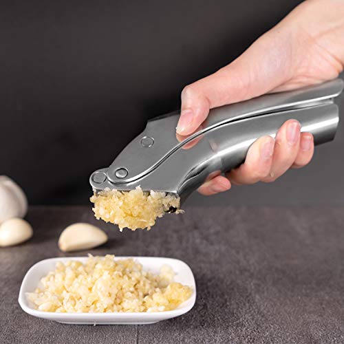 Premium Garlic Press Stainless Steel, Garlic Mincer Tool Set with