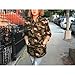 HAOYIHUI Women's Camouflage Lightweight Long Sleeve Outwear Jacket Coat(M,Army Green)