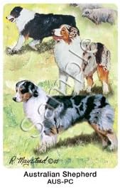 Best Friends Playing Cards, by Ruth Maystead - Australian Shepherd