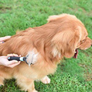 PetHero Dematting Tool for Dogs and Cats – The Best Dog Grooming Comb for Undercoat Removal – Professional Rake Brush for Breeds with Easy Mats and Tangles, 10 Teeth Wide - 2 Pack