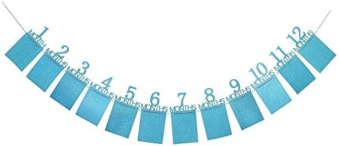 12pcs Set 12 Months Photo Banner Baby Girl Boy First Birthday
