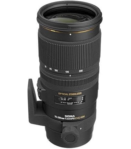 Amazon.com : Tamron SP AF 70-200mm F/2.8 Di LD [IF] Macro Lens for