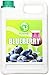 Possmei Flavored Syrup, Blueberry, 5.5 Pound