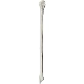 hBARSCI Fibula Bone Model - Left - Anatomically Accurate Human Bone Replica