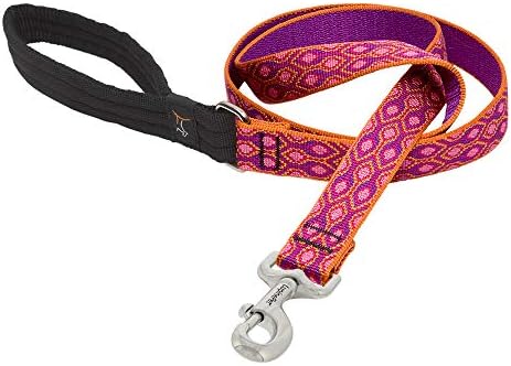 Lupine Alpen Glow Padded Deal with Canine Lead