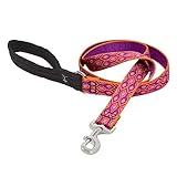 LupinePet Originals 1" Alpen Glow 6-foot Padded