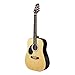 Starion 6 String ST-SW201 LH N Left Handed 3/4 Sized Dreadnought Acoustic Guitar-Natural