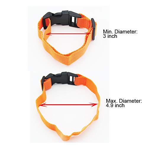 3 Digital+Collar+Recorder+Monitor+Silver+32GB