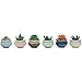SUN-E 3.2 Inch Container Planter Ceramic New Modern Style Hexagonal Laze six Color Base Serial Set Succulent Plant Pot Cactus Plant Pot Flower Pot 6 in Setthumb 3