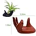 6 Pack Air Plant Stand Holder, Hand Shape Tillandsia Airplant Container Pot Tabletop Plant Display Hand Racks for Home Office Decoration Supplies(Red+Brown+Black)thumb 2