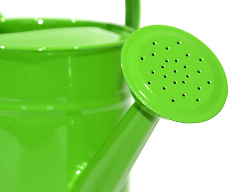 yourjoy Galvanized Metal Wating Can 67 OZ (0.5 Gallon), Watering Pot with Handle and Removable Spout for Outdoor and Indoor Plant Watering : Garden & Outdoor