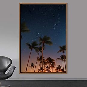 signwin Framed Canvas Wall Art Night View Landscape...